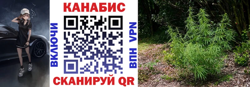 Каннабис Bruce Banner Новый Оскол